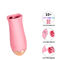 USB, das Rose Pink Vibrating Egg Electric leckt Massager auflädt